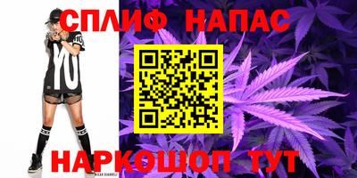 Альфа ПВП Обь