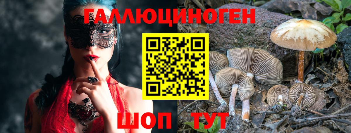 Галлюциногенные грибы ЛСД  закладки  Псилоцибиновые грибы мухоморы  Сафоново  Вход с VPN 